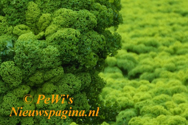 598077777 1409551774194666 7469061758668484061 nbbb