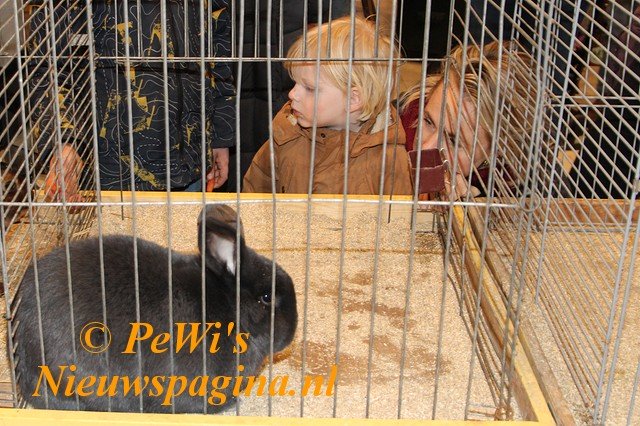 IMG 3702p BorderMaker