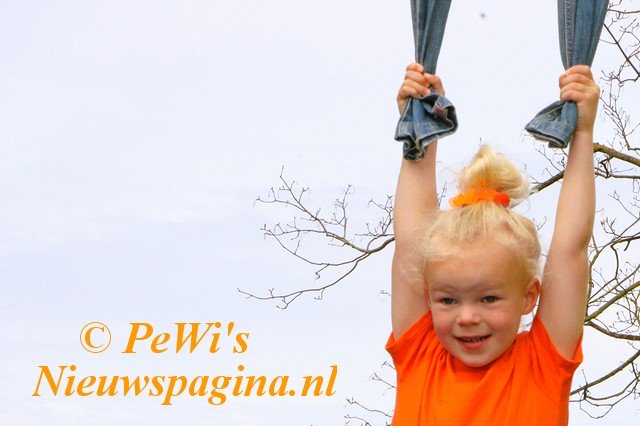 IMG 5200bb BorderMaker