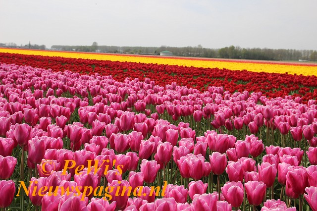 Pagina 28 29 Middenposter BorderMaker
