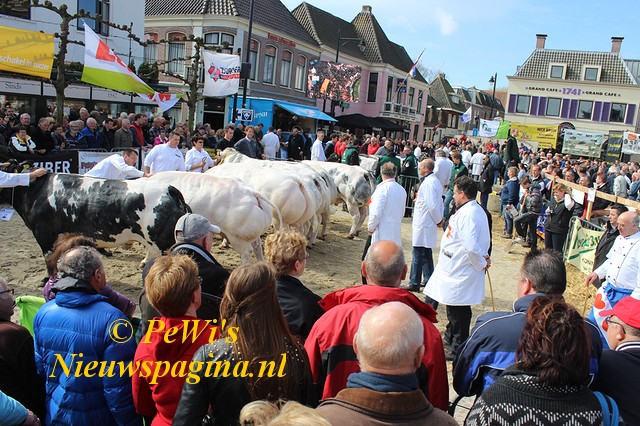 IMG 6812-BorderMaker