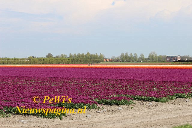 IMG 8495 640x480-BorderMaker