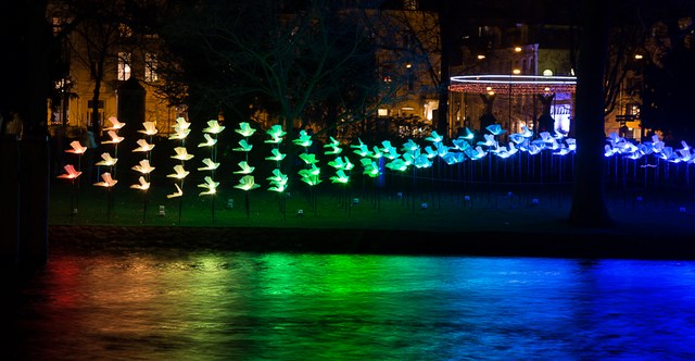 Amsterdam Light Festival vogels 4-1 640x480