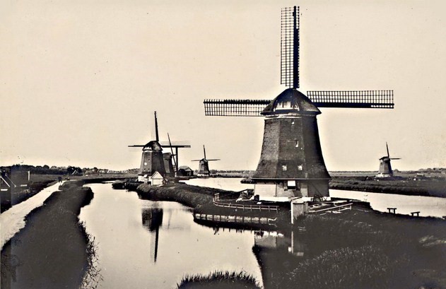 237 De 5 Strijkmolens vanaf de Westfriesedijk. 1905 640x480aa