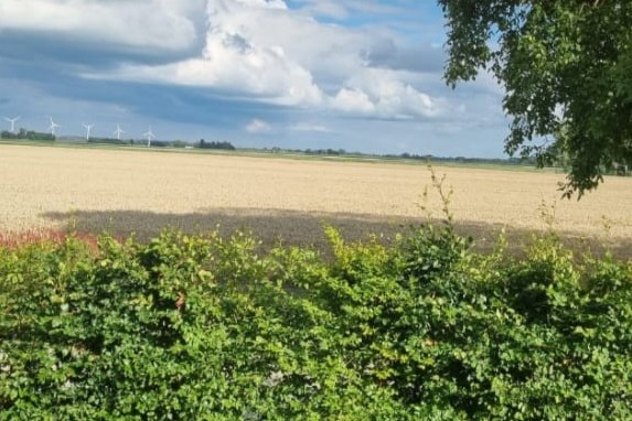 523948069 24695144200092412 1110579302369116662 nbbb