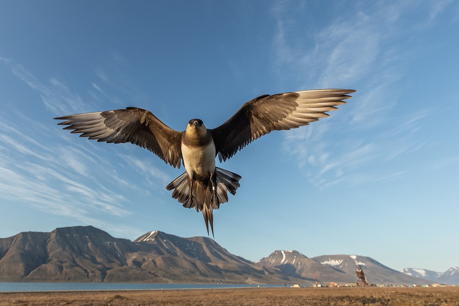 spitsbergen03 BorderMaker