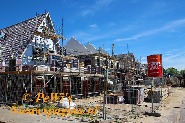 IMG 7243aa BorderMaker