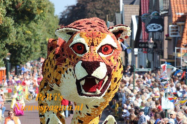 026 640x480 BorderMakeraa