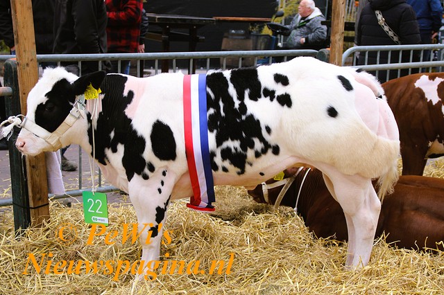 IMG 5671cc BorderMaker