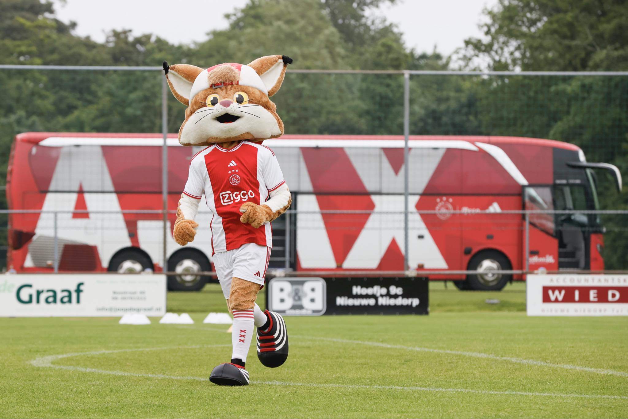 73d2d053 87a2 488f a0e0 149606d0d6bb