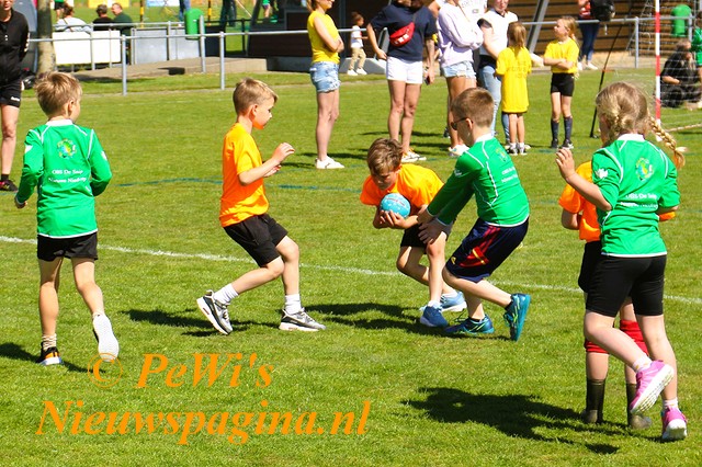 IMG 6408dd BorderMaker