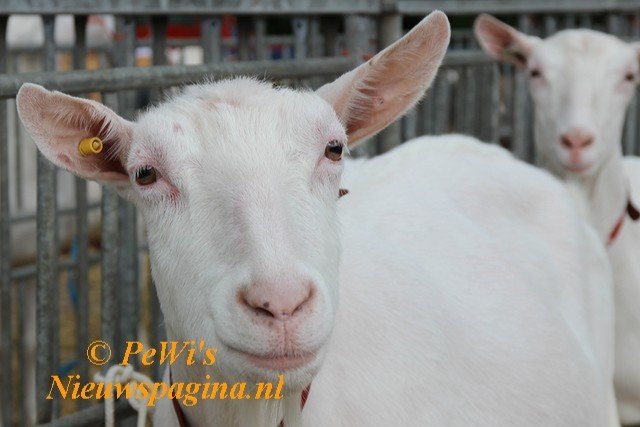 IMG 6123aa BorderMaker