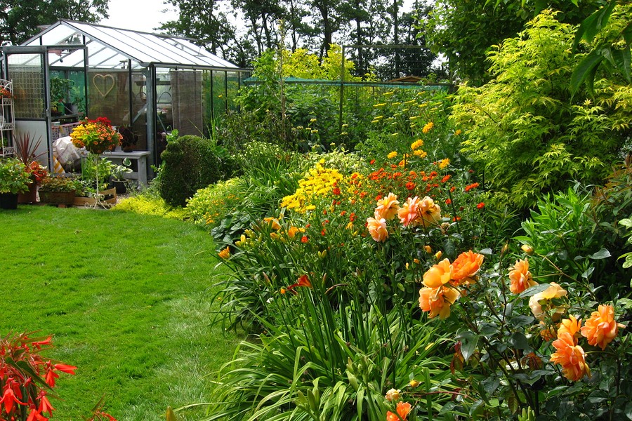 2024 afbeelding bij Top in de Kop persbericht 22 en 23 juni tuin van Atie en Cees Jonker.bb BorderMaker