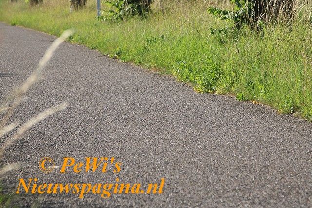 IMG 1891aa BorderMaker