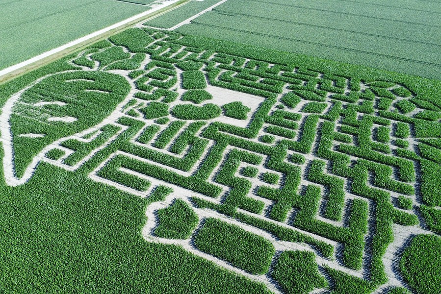 Maisdoolhof Leven van de Wind 2025bbb BorderMaker