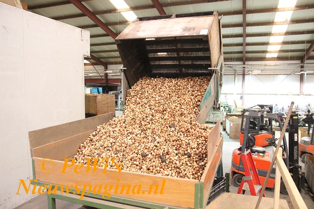 IMG 2130aa BorderMaker