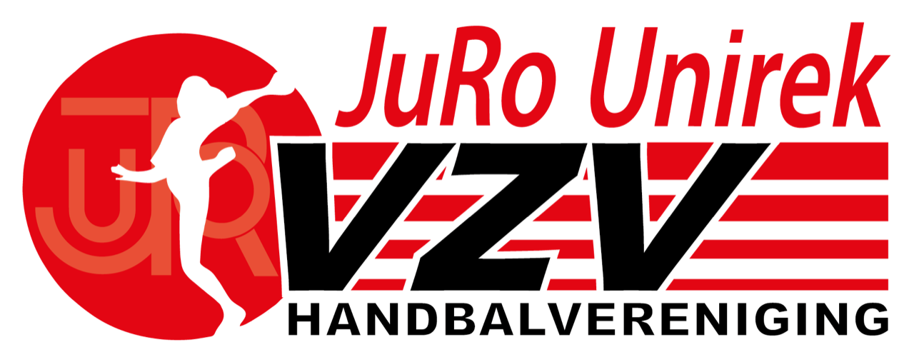 Logo VZV