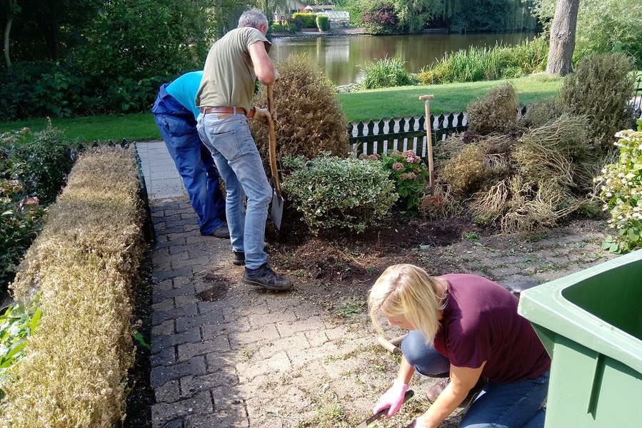 tuinfoto 2021 002aa BorderMaker