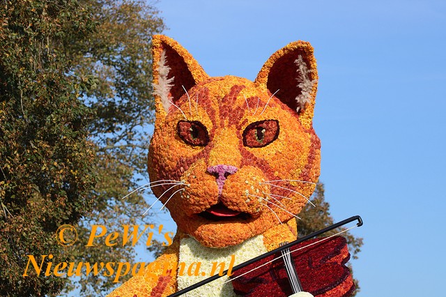 IMG 2832bb BorderMaker