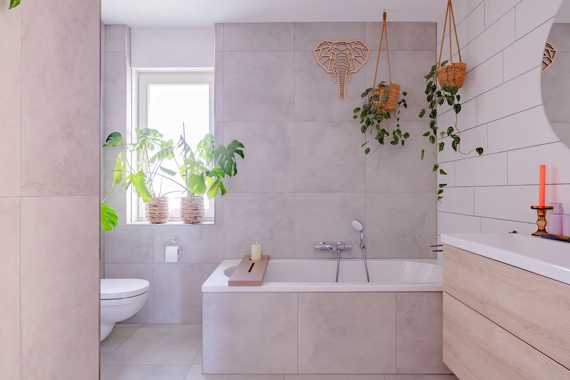 strijkmolen 33 nieuwe niedorp foto 11 BorderMaker