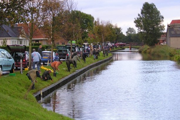 vischlust15 Custom 1