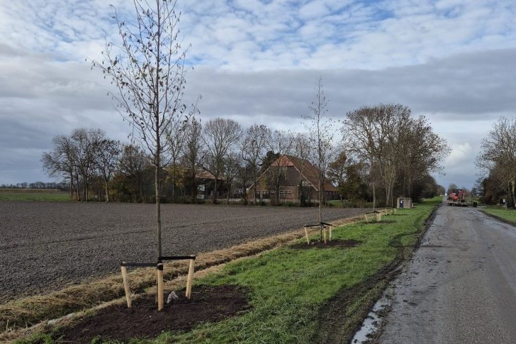 1000000081 scaled e1763478828901 768x485bbb