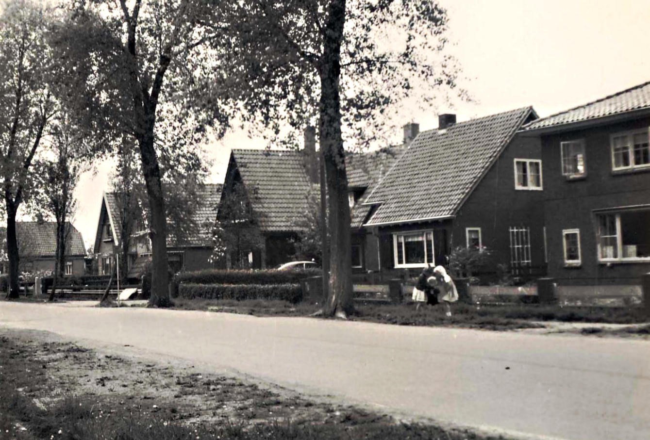 762 Hoefje. 1951 