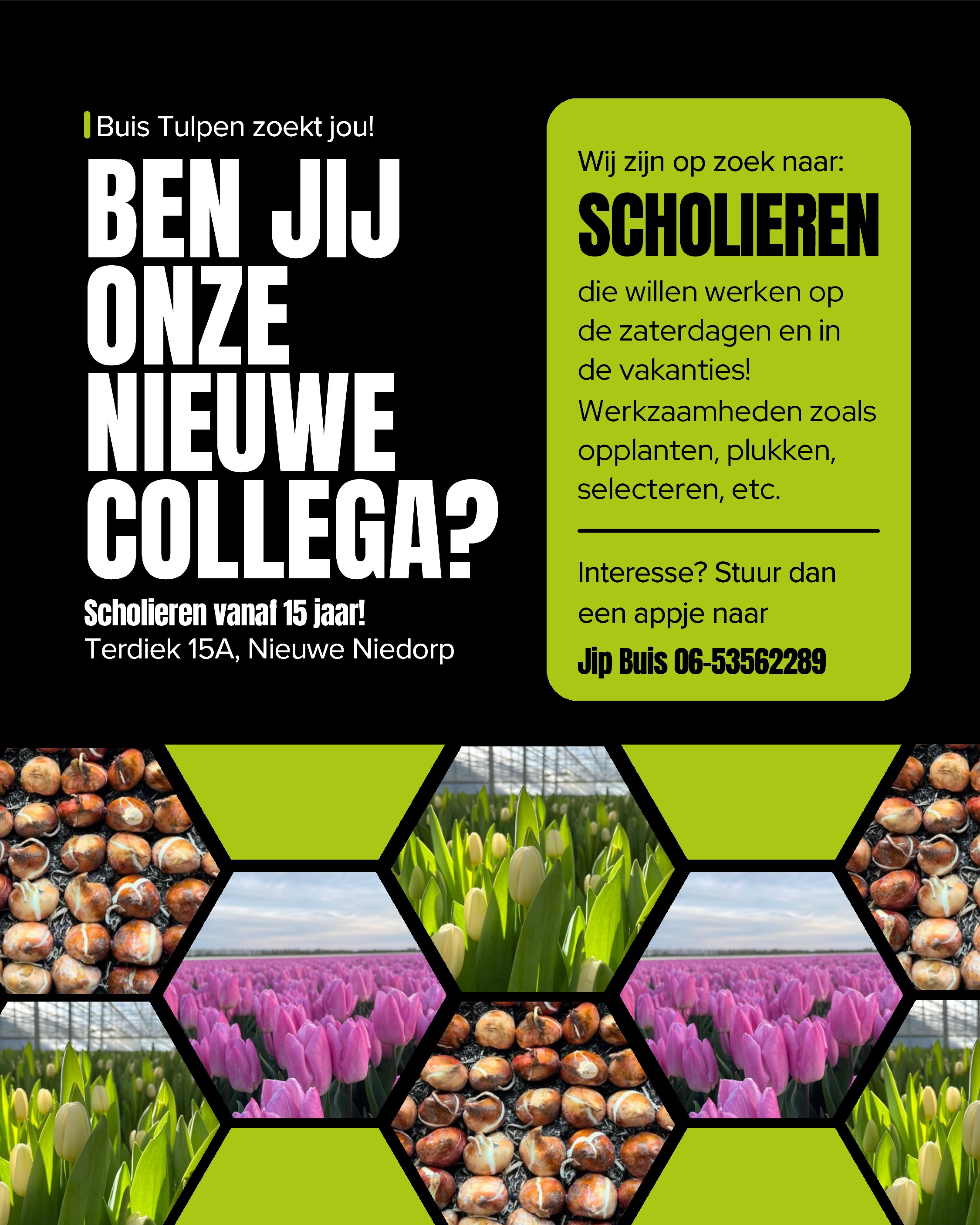 Scholieren gezocht Buis Tulpenbb