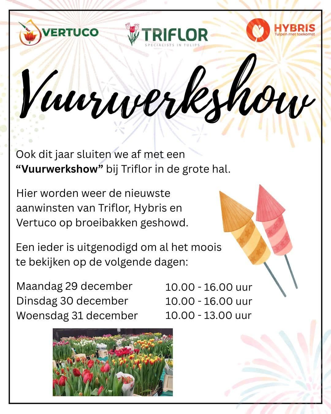 602940415 26269472712639744 1706472553838597960 n