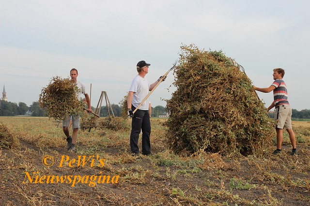 IMG 1445 BorderMaker