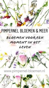 52071463 2731159090242677 220990902196240384 n