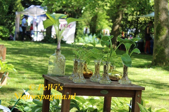 IMG 0056 640x480 BorderMaker