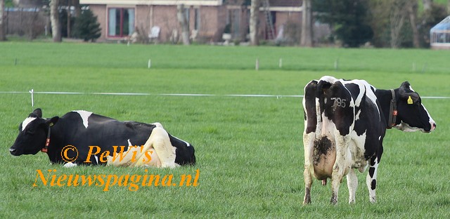 IMG 0629aa BorderMaker