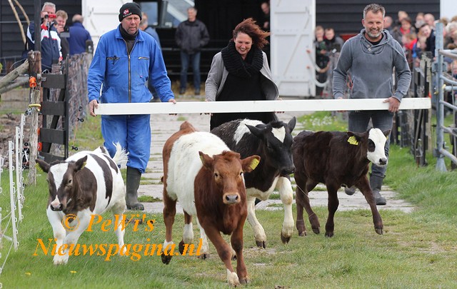 IMG 1568aa BorderMaker