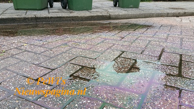 20170609 124922 resized222 BorderMaker