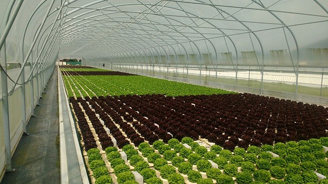 IMG 20170612 WA0018 BorderMaker