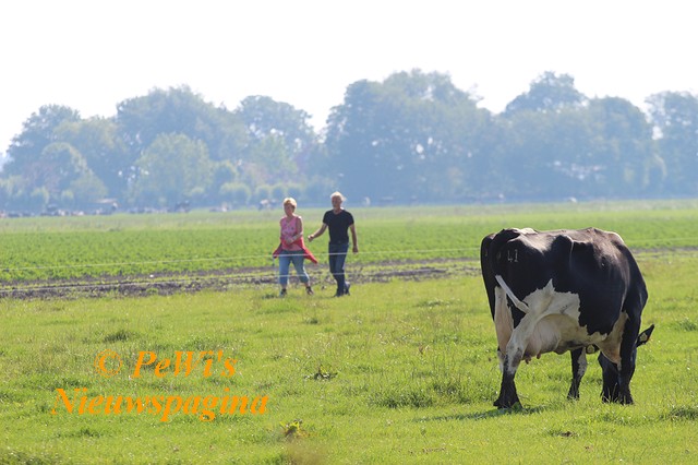 IMG 2185 BorderMaker