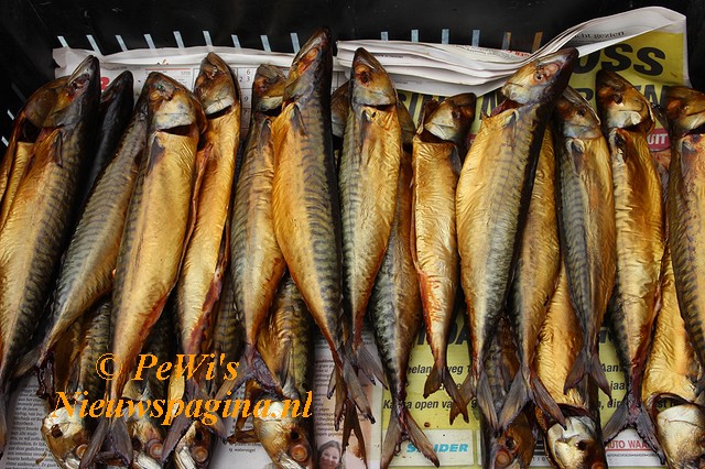 IMG 0749 BorderMaker