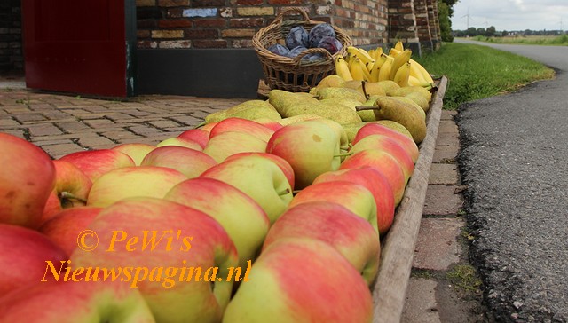 IMG 0754aa BorderMaker