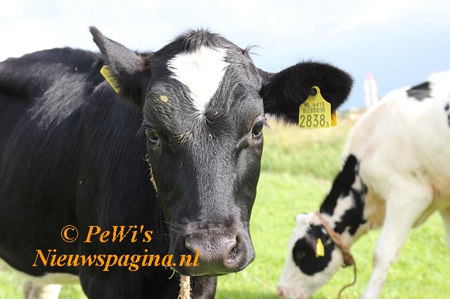 IMG 0771 BorderMaker