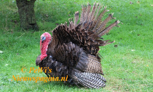 IMG 0778aa BorderMaker