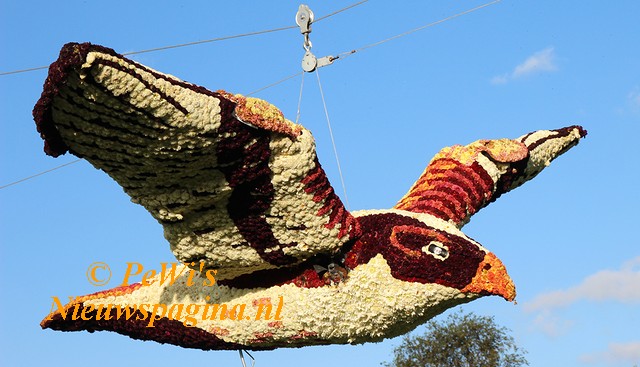 IMG 2466aa BorderMaker