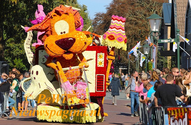 IMG 3052bb BorderMaker