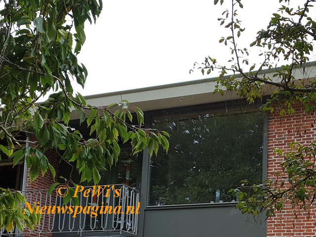 20191015 141858aa BorderMaker