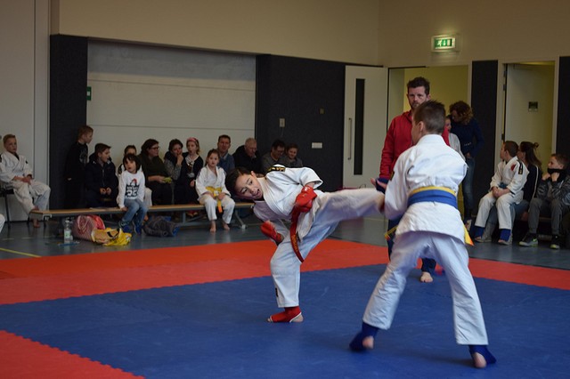 DSC 7202 BorderMaker