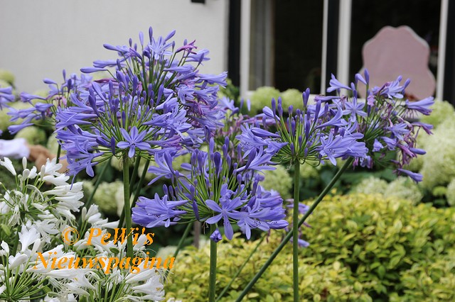 IMG 1696 BorderMaker