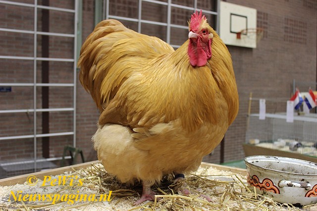 IMG 8144 640x480tekra278 BorderMaker