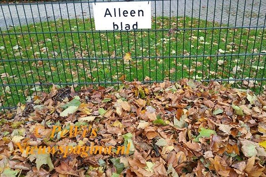 20171010 150931 resized BorderMaker