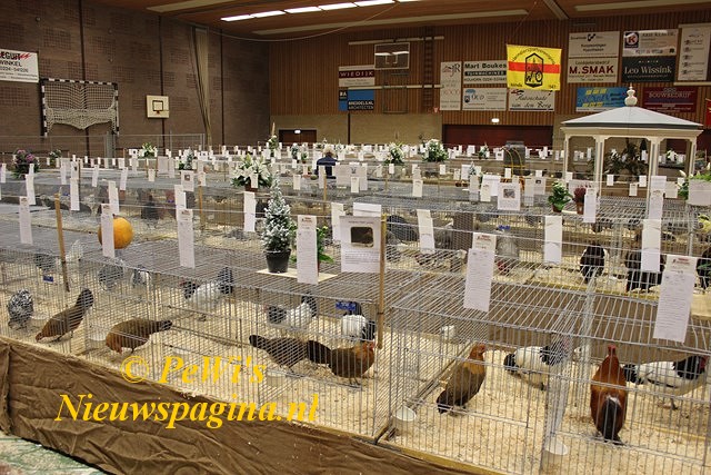 IMG 1594 640x480-BorderMaker